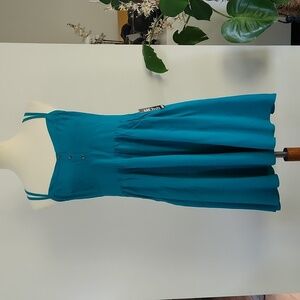 NWT Express Dress